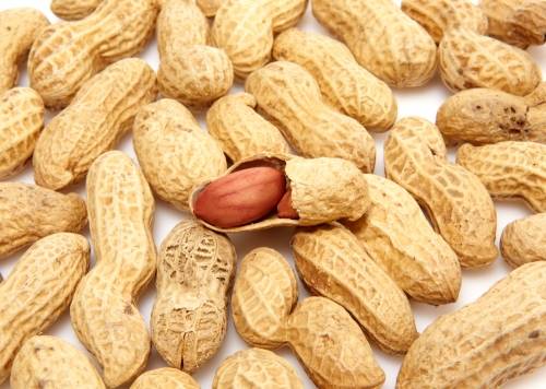 ピーナッツ画像。私 - アートをクリックします