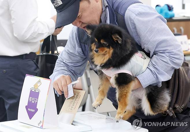 '반려견과 함께' (서울=연합뉴스) 김성민 기자 = 제21대 대통령선거 사전투표 첫날인 지난 29일 서울 중구 중림동주민센터에 마련된 사전투표소에서 한 시민이 반려견과 함께 투표하고 있다. 2025.5.31 ksm7976@yna.co.kr