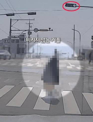 청사포 사진 [온라인 커뮤니티 캡처.재판매 및 DB금지]