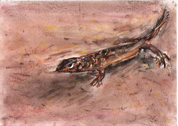 ‘Accidental Nature|우연적 자연’전은 생태계의 보고인 비무장지대를 조명한 작품을 만날 수 있다. 사진은 전시 출품작. /경기문화재단 제공.