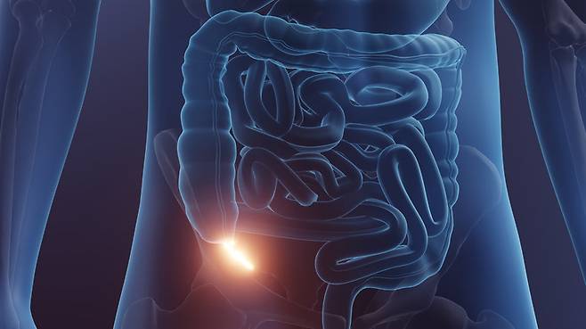 사진=게티이미지뱅크.