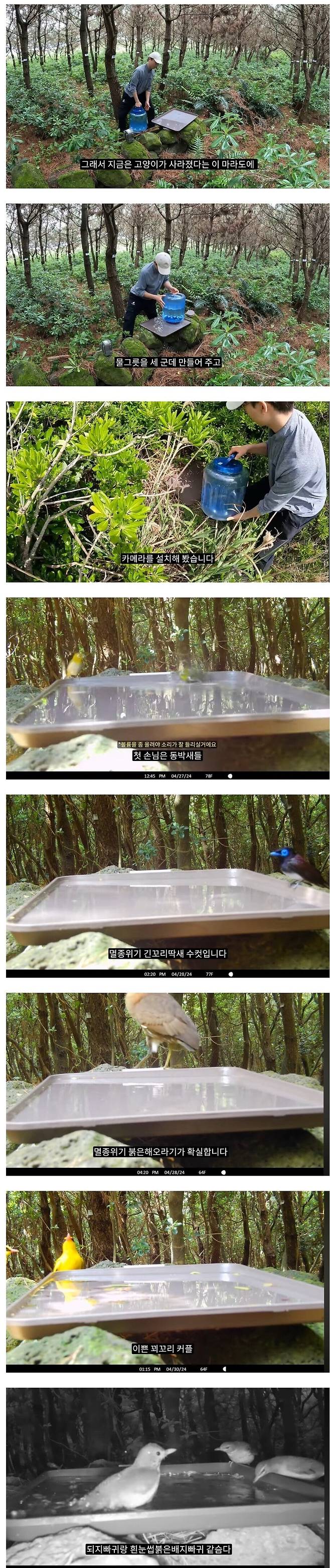 1.jpg 캣맘과 고양이가 사라진 마라도에 물그릇을 만들어 줬을때...