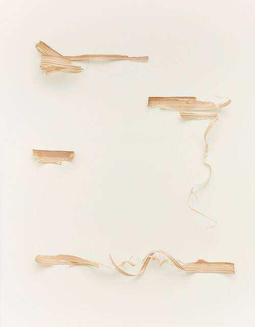 이형우, ‘무제(Untitled)’, 2024, 캔버스에 나무, 91×117㎝. 노화랑