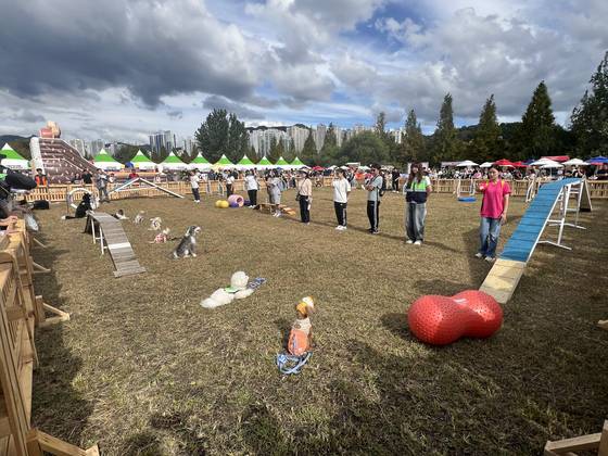 지난해 10월 5일 부산시 북구 화명생태공원에서 열린 반려동물 축제 '위드펫스타' 행사 모습. 사진 부산시