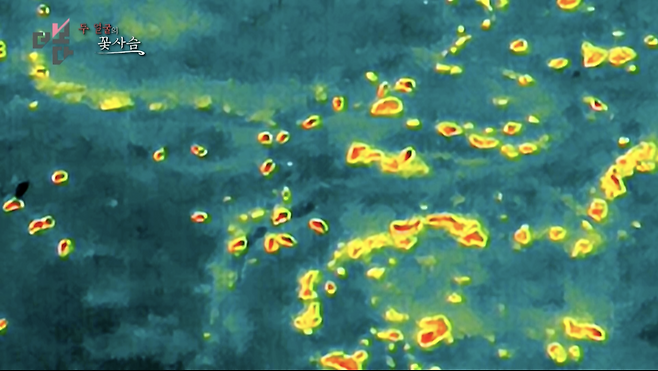 열화상 드론 촬영 영상