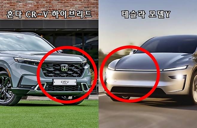 국내에서 인기높은 하이브리드카와 전기차 [사진출처=혼다, 테슬라/편집=최기성 매경 디지털뉴스룸 기자]