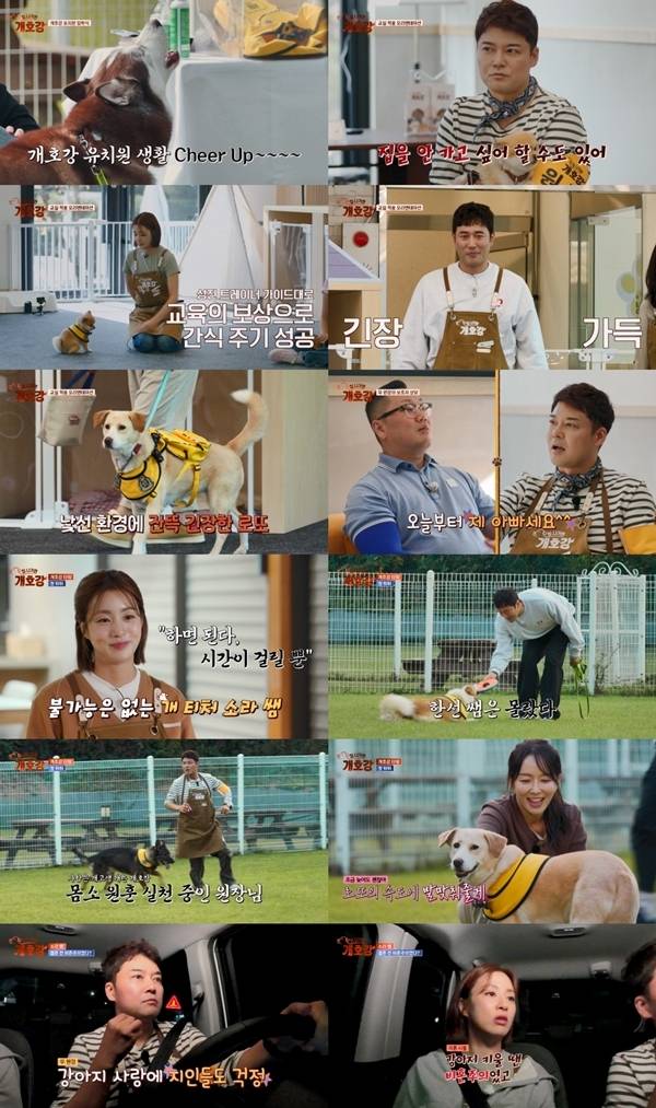 1일 방송된 반려견 관찰 리얼리티 JTBC 새 예능 프로그램 ‘집 나가면 개호강’에서 강소라와 ‘아이브’ 레이가 함께하는 ‘중소형견 반’, 조한선과 박선영이 함께하는 ‘대형견 반’ 원생들이 입장했다.