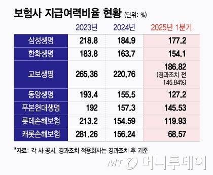 보험사 지급여력비율 현황/그래픽=윤선정