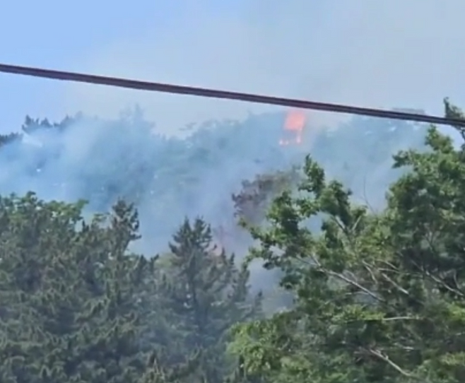 1일 오전 8시52분쯤 경북 울릉군 서면 남양리의 한 야산에서 산불이 발생해 산림당국이 진화에 나섰다[독자제공]
