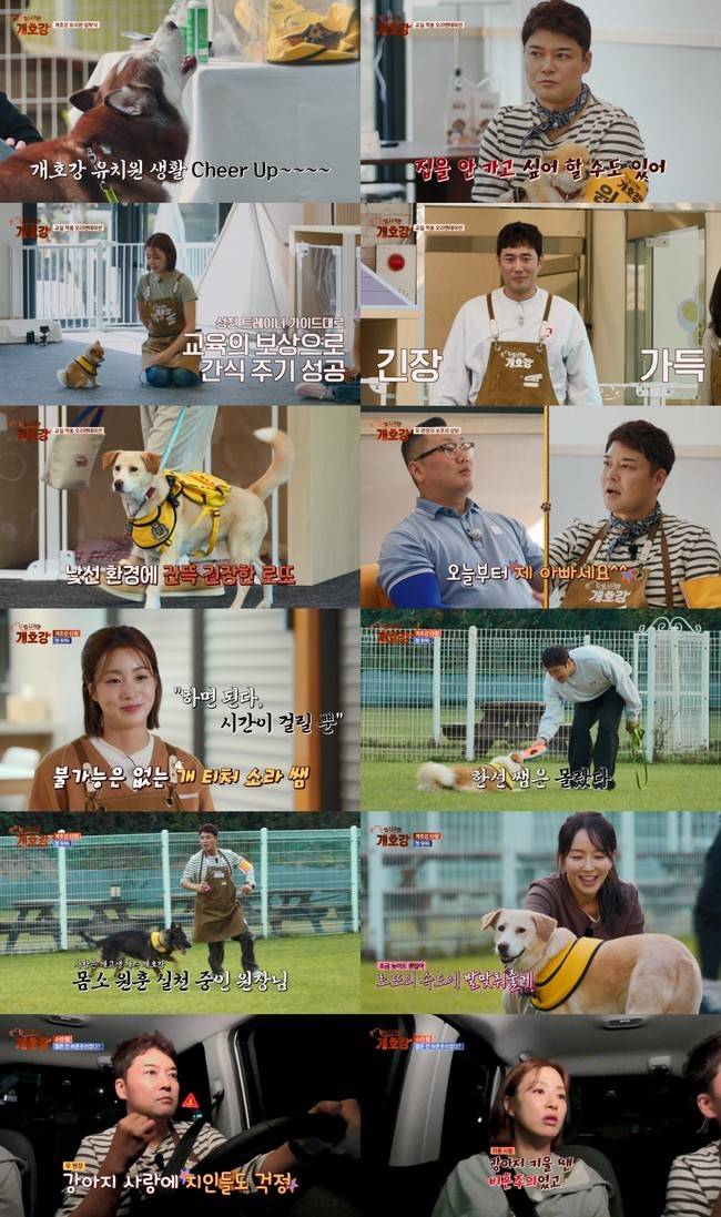 JTBC ‘집 나가면 개호강’