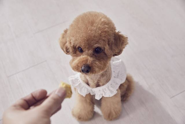 사진은 기사의 특정 내용과 관련 없음. 이미지투데이