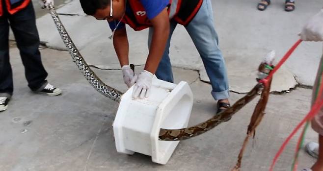 사진출처=채널7, 인콰이러