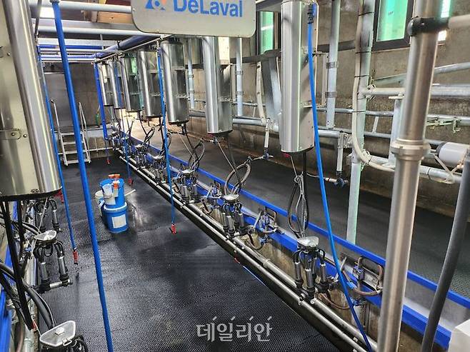 장원목장 내 착유기. ⓒ데일리안 김소희 기자