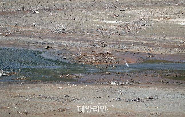 지난 2022년 5월 저수율이 25%까지 떨어졌을 당시 운문댐 모습. ⓒ연합뉴스