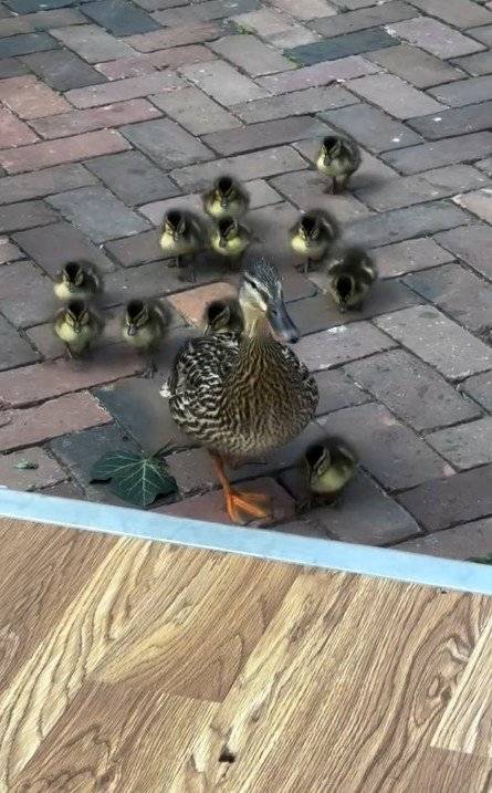 SNS 갈무리 @maddywilliamsphotography