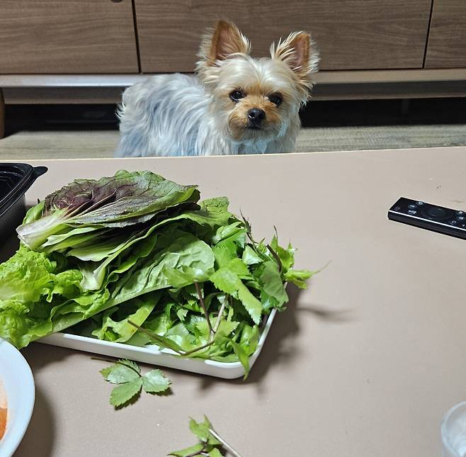 20250601_211544.jpg 저녁 와이프가 포장해온 들깨 삼계탕