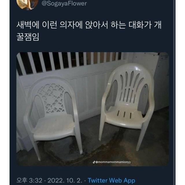 2E0A71C0-FFA2-4B3E-B7CC-C885E9BE6029.jpeg 새벽에 앉으면 개꿀잼 대화 가능한 의자.jpg 새벽에 앉으면 개꿀잼 대화 가능한 의자.jpg