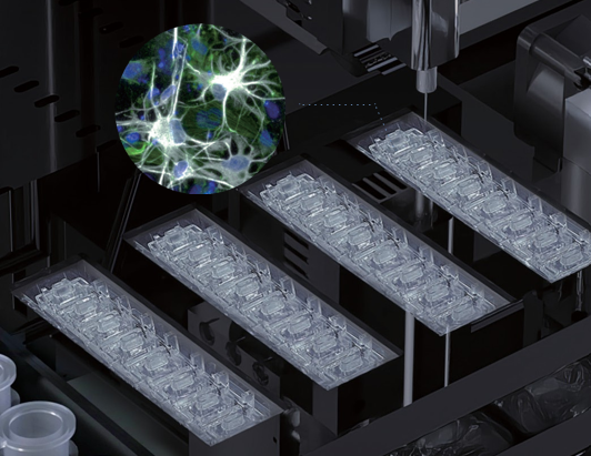 국내 바이오기업 멥스젠이 뇌혈관 장벽의 구조를 3차원 생체조직 칩으로 설계하고 있다. 멥스젠 제공