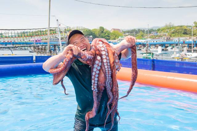 ▲ 제5회 저도 대문어축제가 오는 7일 최북단 고성군 현내면 대진항에서 열린다.