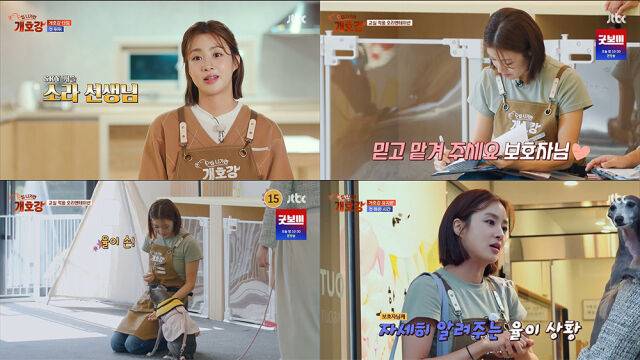 JTBC 예능 ‘집 나가면 개호강’