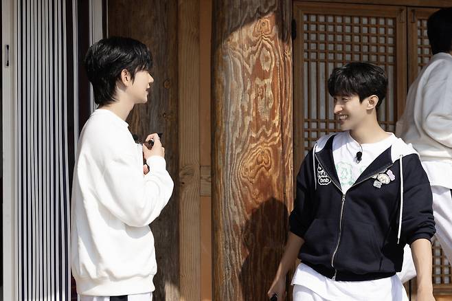 하이브, 에그이즈커밍, 플레디스 제공