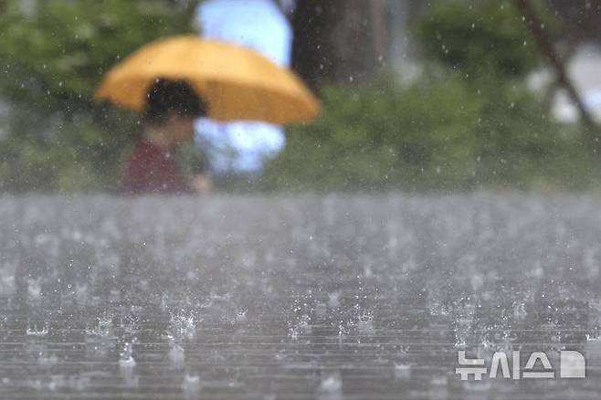 [서울=뉴시스] 최동준 기자 = 16일 서울 중구 서울시청 앞에 강한 비가 쏟아지고 있다. 2025.05.16. photocdj@newsis.com