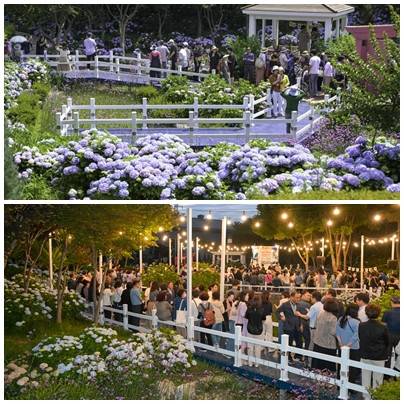 7~29일 울산 장생포 수국 페스티벌 개최 전국 유일의 고래문화마을 울산시 남구 장생포에서  7일부터 29일까지 장생포 수국 페스티벌이 열린다. 사진을 지난해 장생포 수국  페스티벌 모습.  [울산 남구 제공]