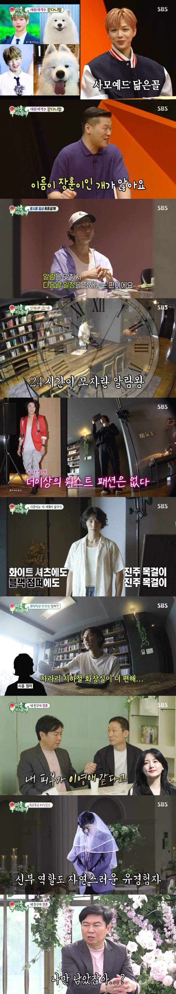 미운 우리 새끼 / 사진=SBS 캡처