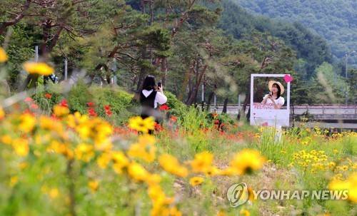 괴산 빨간맛페스티벌 축제장  [괴산군 제공. 재판매 및 DB 금지]