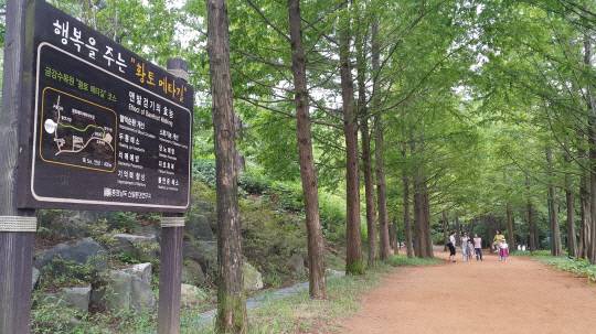 세종지역 시민사회단체들이 충남산림자원연구소에 대한 매각 반대 목소리를 높이고 있다. 사진은 금강자연휴양림 황토 메타길 전경.대전일보DB