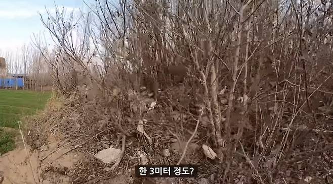 실제 여포 무덤에 찾아가본 유튜버