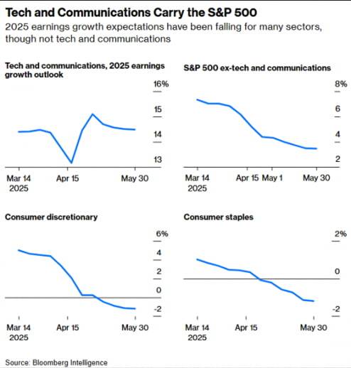 기술 및 통신 섹터의 올해 수익 성장률 추정치는 14%대로 유지되고 있는 반면 두 개 섹터를 제외한 S&P500 수익 성장률 추정치는 3%대까지 하향 조정됐다. 자료=블룸버그인텔리전스