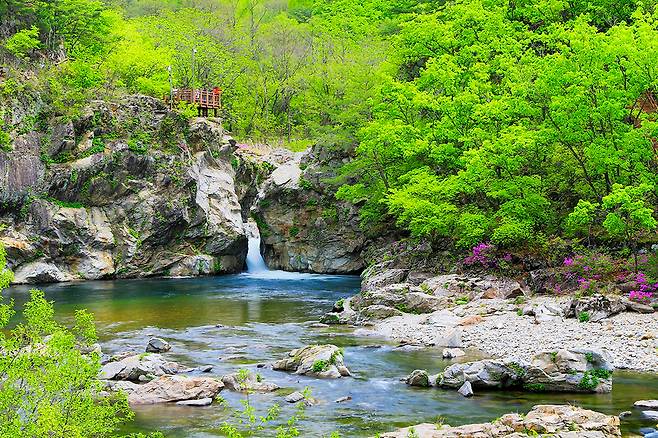 양구 두타연 전경. 양구군 제공