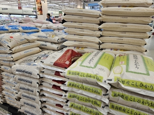 일본에 진열된 쌀. [사진 = 연합뉴스]