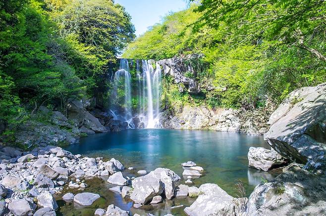 제주 천지연폭포