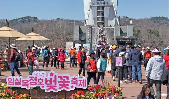 옥정호 벚꽃축제의 주무대인 붕어섬생태공원과 출렁다리에 인파가 몰려 한마당 잔치를 즐기고 있다.  임실군 제공