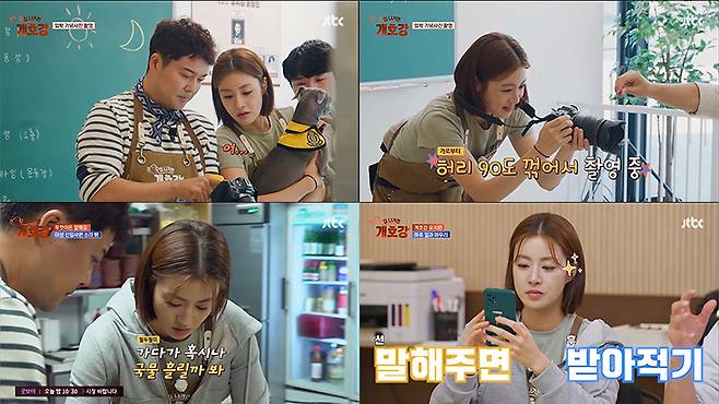 JTBC 캡처