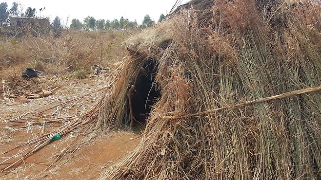 부룬디 트와족 마을 움집 [김영완 제공. 재판매 및 DB 금지]