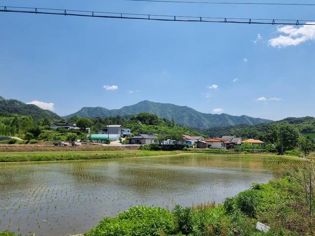 충주 대소강마을 전경. /이선규기자