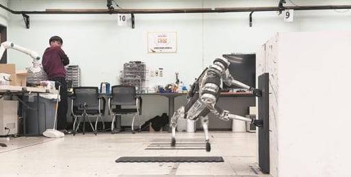 카이스트의 사족보행 로봇 '라이보(Raibo)'. /카이스트