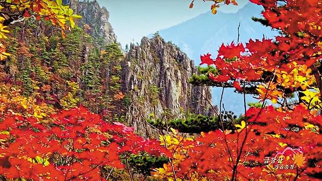 북한 조선중앙TV가 드론을 이용해 촬영한 금강산의 가을 풍경. /조선중앙TV 연합뉴스