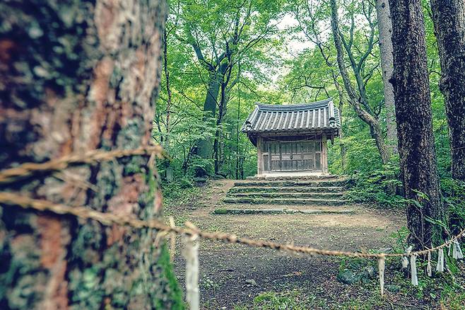 성황당 전나무 숲길