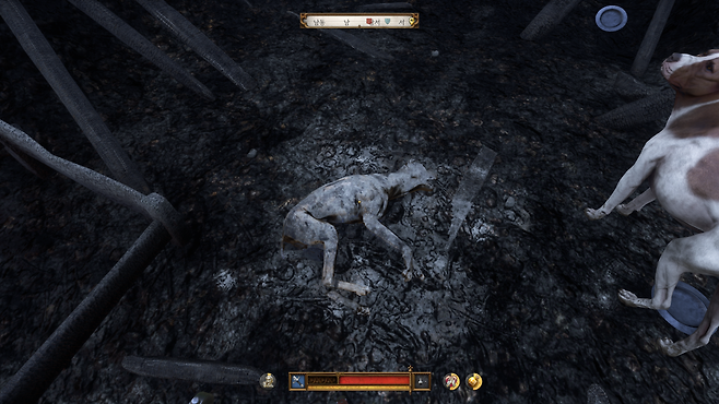 image.png 킹덤컴2에서 묘사된 싸이코패스같은 중세시대 캣맘 ㄷㄷㄷㄷㄷㄷㄷㄷㄷㄷ