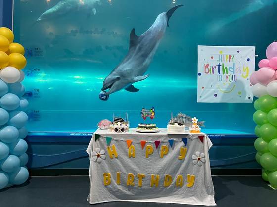 고장수가 여덟 번째 생일을 맞는다. 이젠 아기 돌고래라는 말이 무색할 정도로 덩치가 커졌다. 사진 고래생태체험관