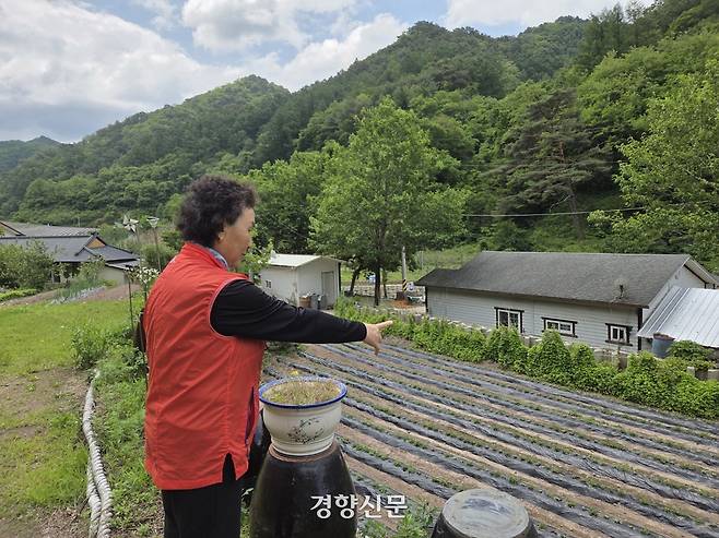 경북 안동시 예안면 도촌리 지통마에서 3일 만난 장계옥씨(73)가 이재명 더불어민주당 대선 후보 생가터를 가리키고 있다. 김현수 기자