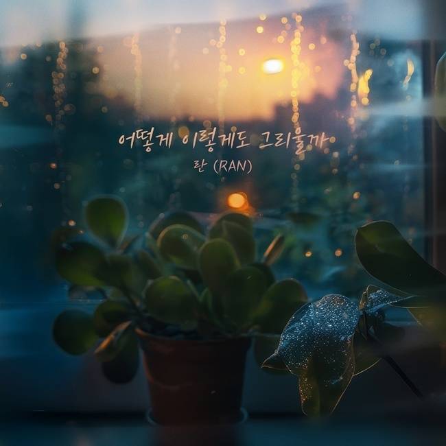요구르트 스튜디오 제공