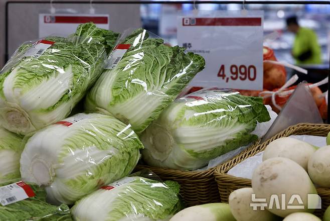[서울=뉴시스] 김명년 기자 = 서울시내 한 대형마트에 배추가 진열돼 있다. 2025.05.06. kmn@newsis.com