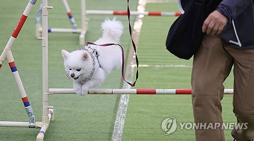 [연합뉴스 제공]