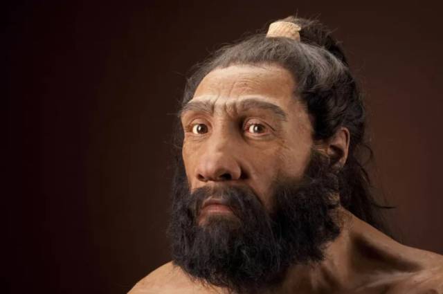 미국 스미소니언 국립자연사박물관에 전시된 네안데르탈인의 복원도. / 출처=스미소니언박물관 홈페이지