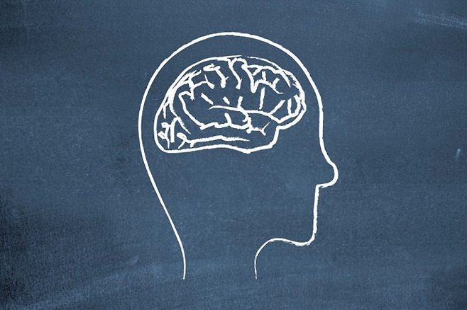 뇌 그림